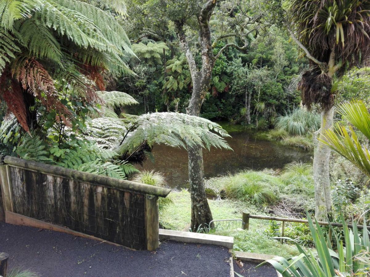Taranaki Experience Apartment New Plymouth Bagian luar foto