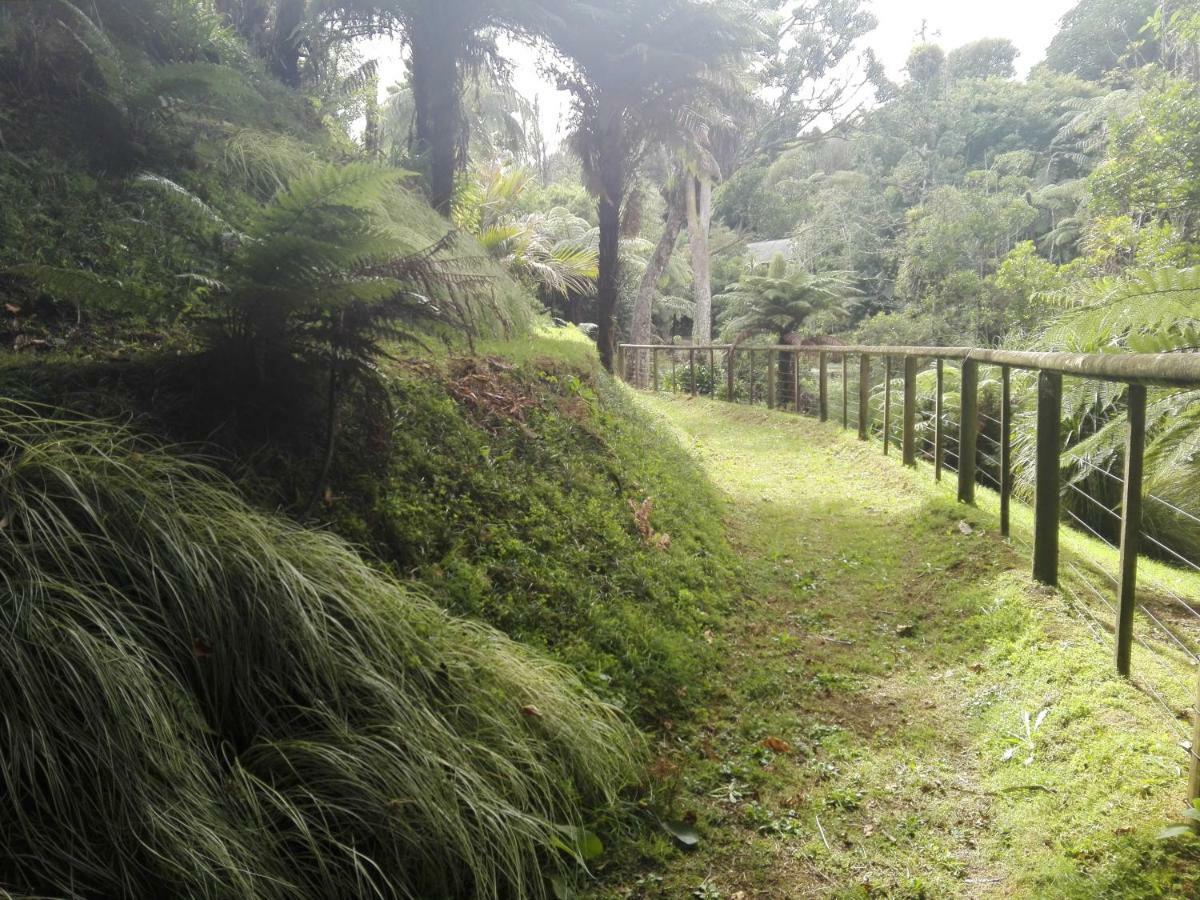 Taranaki Experience Apartment New Plymouth Bagian luar foto
