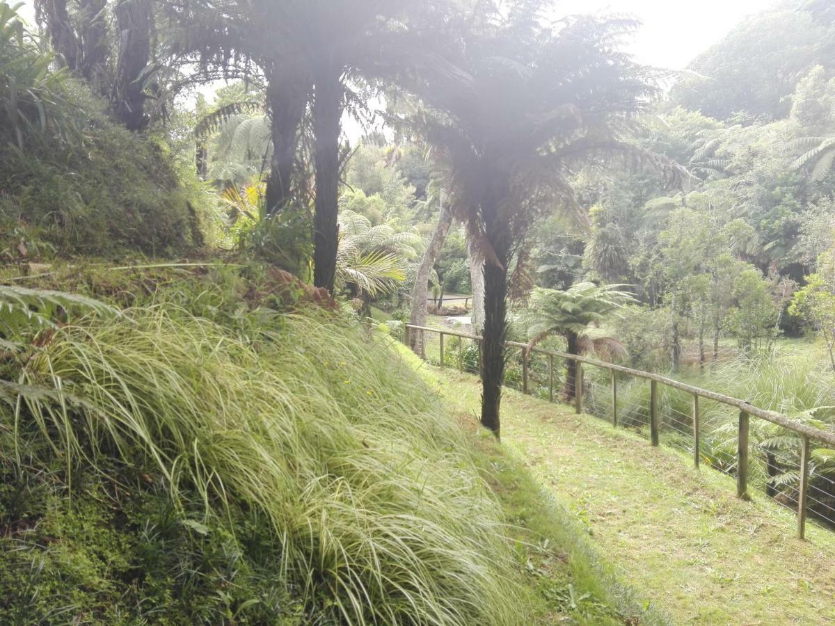 Taranaki Experience Apartment New Plymouth Bagian luar foto